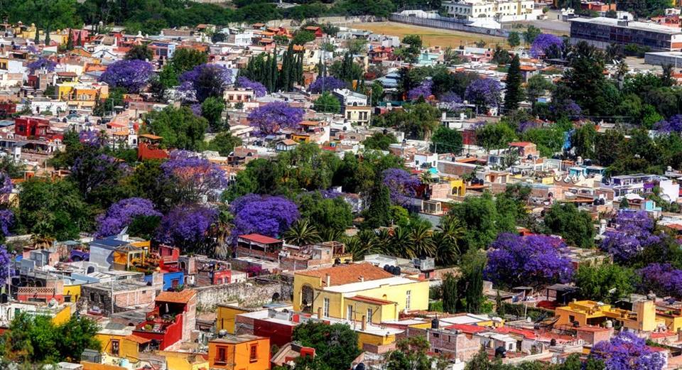 zzz326141338_689125109538307_2126408202896584187_n