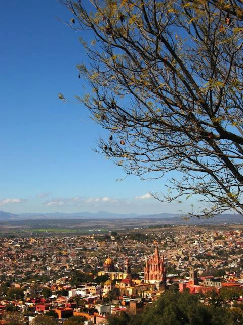 zzz328116038_475300574629409_3082802865533473399_n (1)