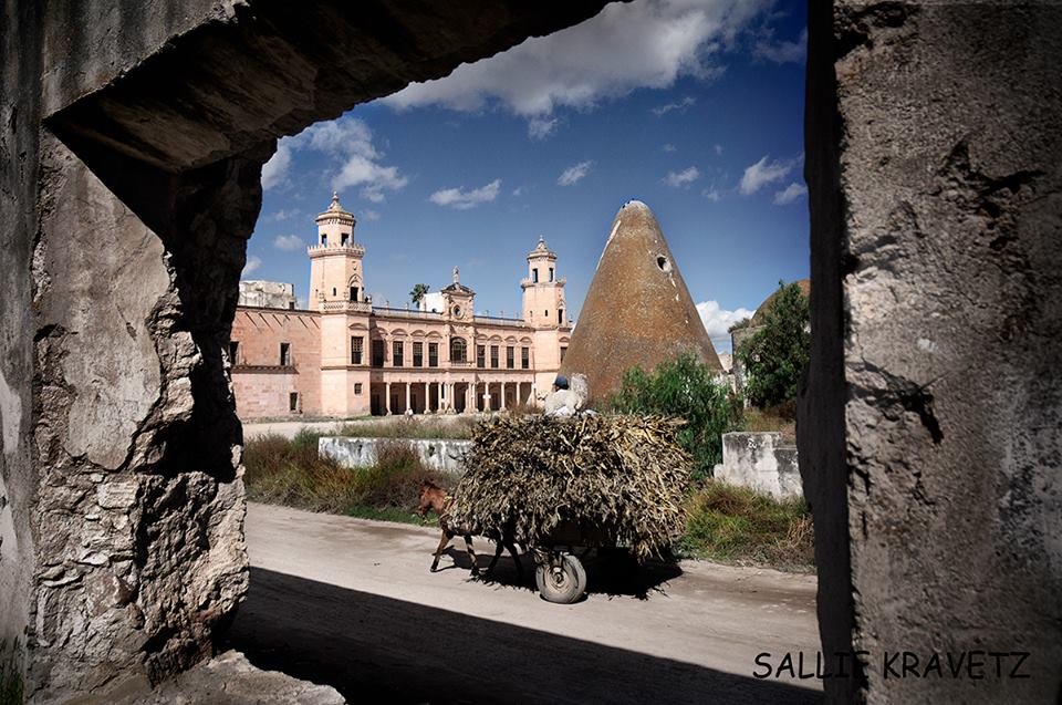 zzz339496207_905108857397563_8223089918355077465_n