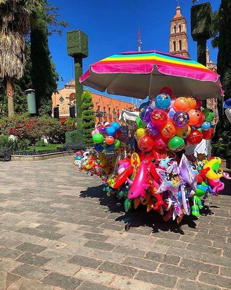 zzz342877917_895517418416059_2652044366262271953_n