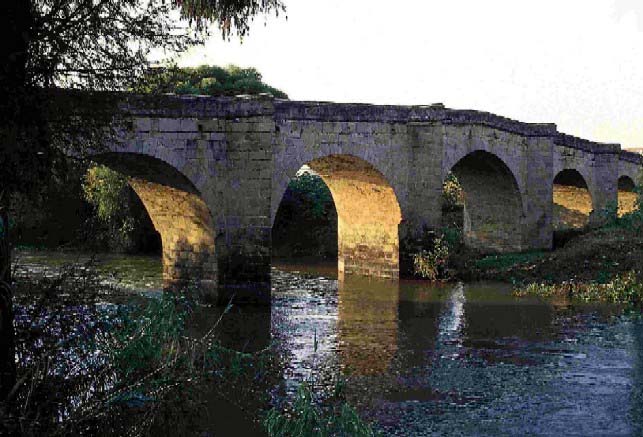 zzzz340401961_1003913974280174_2081148317812250201_n