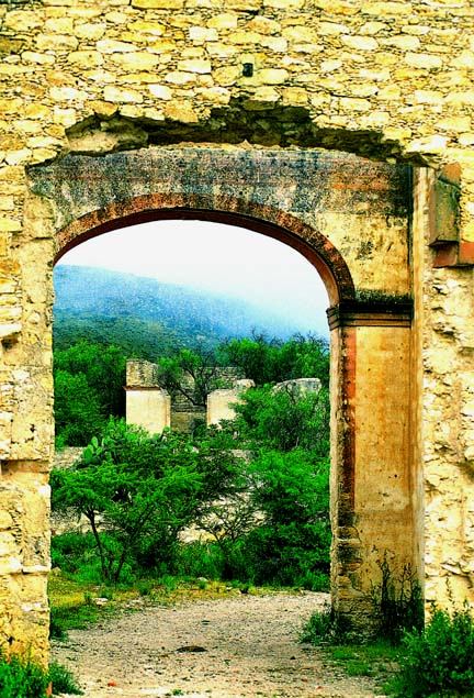 zzz346453886_1425702561528245_5723055348031855994_n