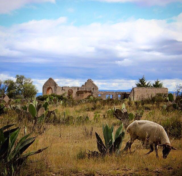 zzz349002604_796736785034195_1830554098365485492_n