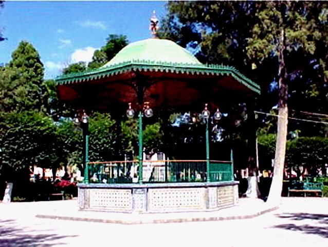 zzzz346075950_783561043393037_4630020030156834527_n