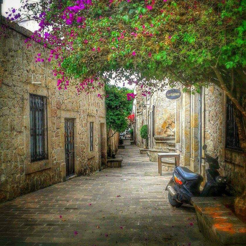 11855811_852875118129088_7542122507716677449_n