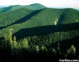 zzz352287541_288281233543782_3895245998589370605_n