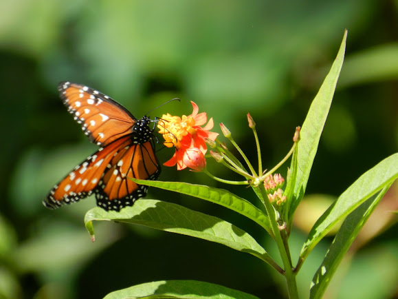 zzz352308502_177609918566650_8069422845718988064_n