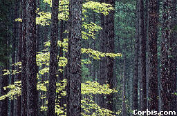 zzz353068806_6501229736601831_1298458400294130664_n