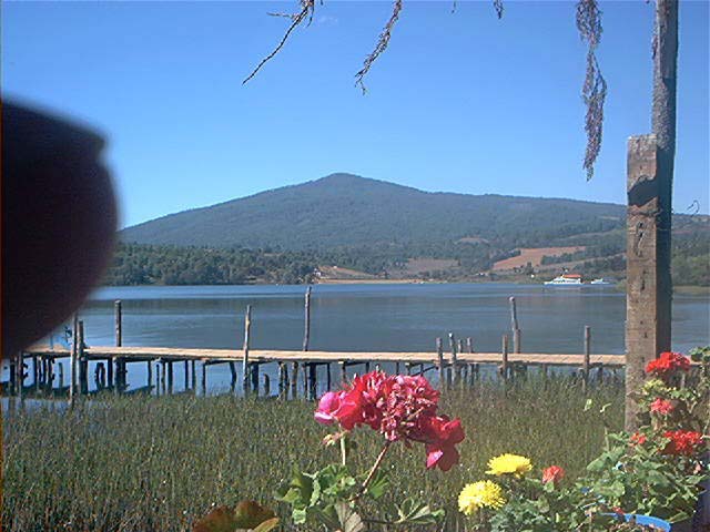 zzz353778336_6515978565126948_6258899153399879180_n