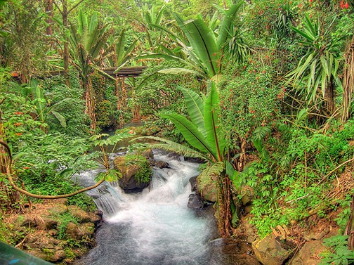 zzzz352552064_6533915819999889_6782186331805775993_n