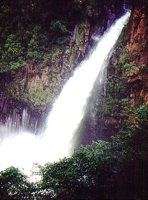 zzzz355347594_6544818682242936_2773526444753168328_n