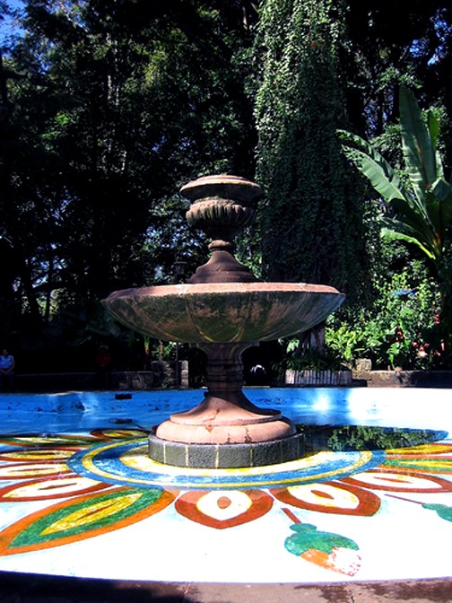 zzzz355881670_6552551024803035_3629593899539273673_n