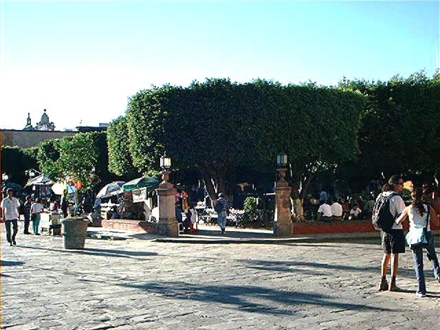 zzz365163432_6686383421419794_4611967955383475150_n