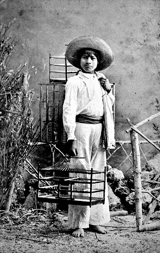 zzzz378294121_6826419447416190_6241734116347382553_n