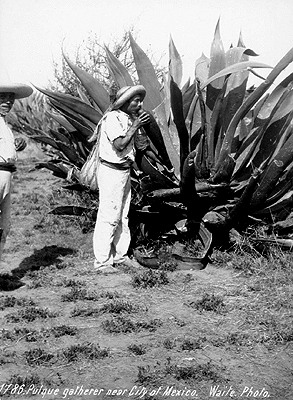 zzzz378794237_6833908453333956_77545919397159393_n