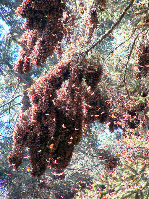 zzzz415280504_7227918603932937_5414968138827823709_n