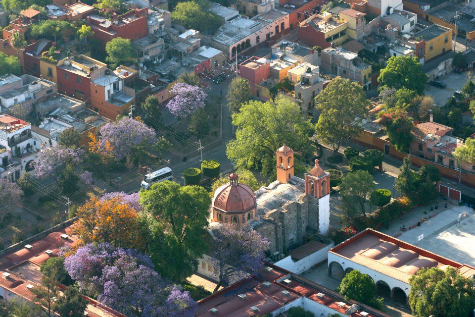 zzzz420812741_7319314168126713_6039679190859832851_n