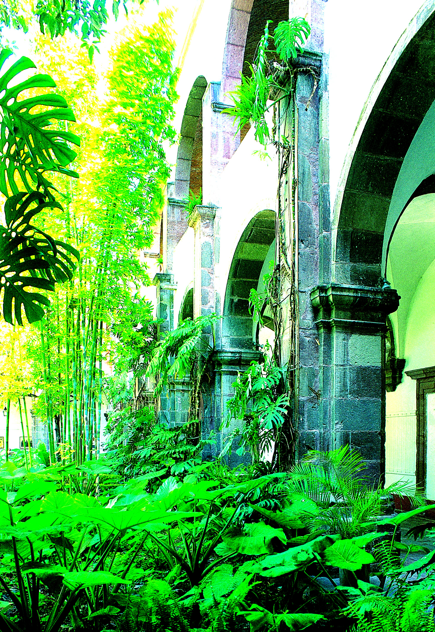 zzzze91ac9f349561c3c