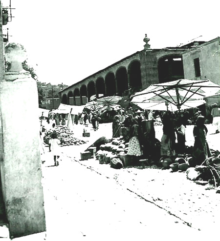 zzzz430022407_7498045840253544_4965902782468732369_n