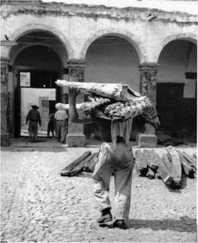 zzzz430086778_7508798409178287_1099903542254229928_n