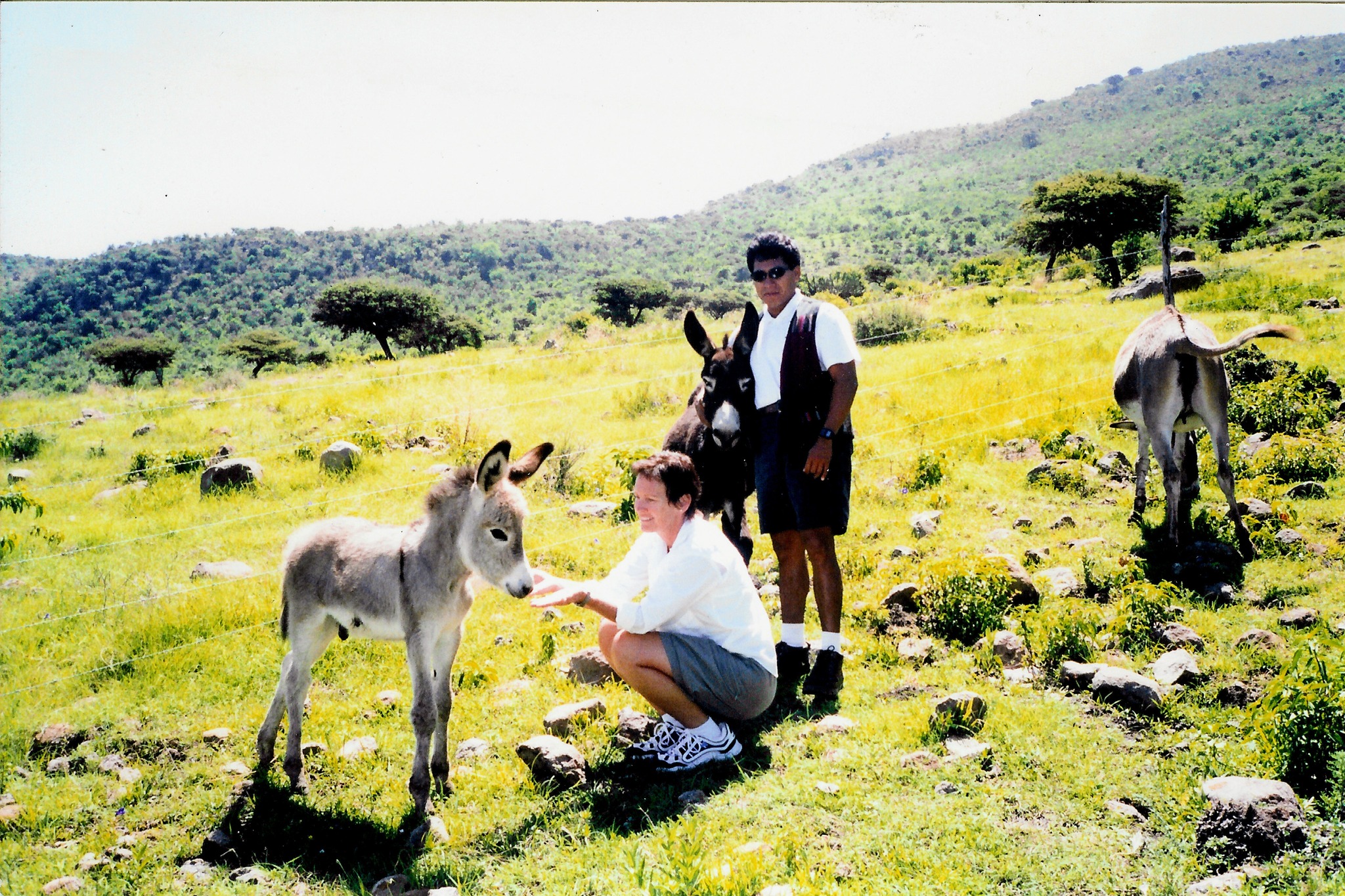 zzzz448720309_7963185217072935_1361272854206745205_n