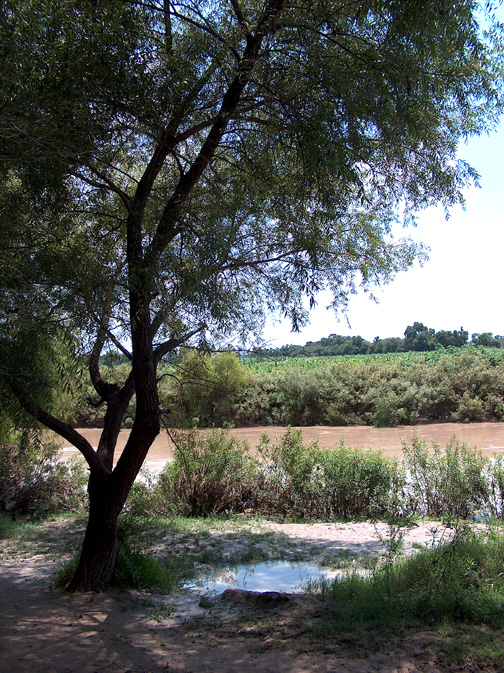 zzzz448906231_7982001398524650_4380626616681749318_n