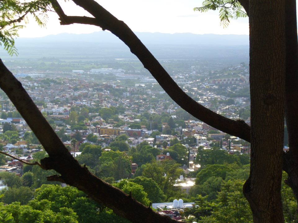 zzzz450010936_8049377038453752_1782884268663156665_n