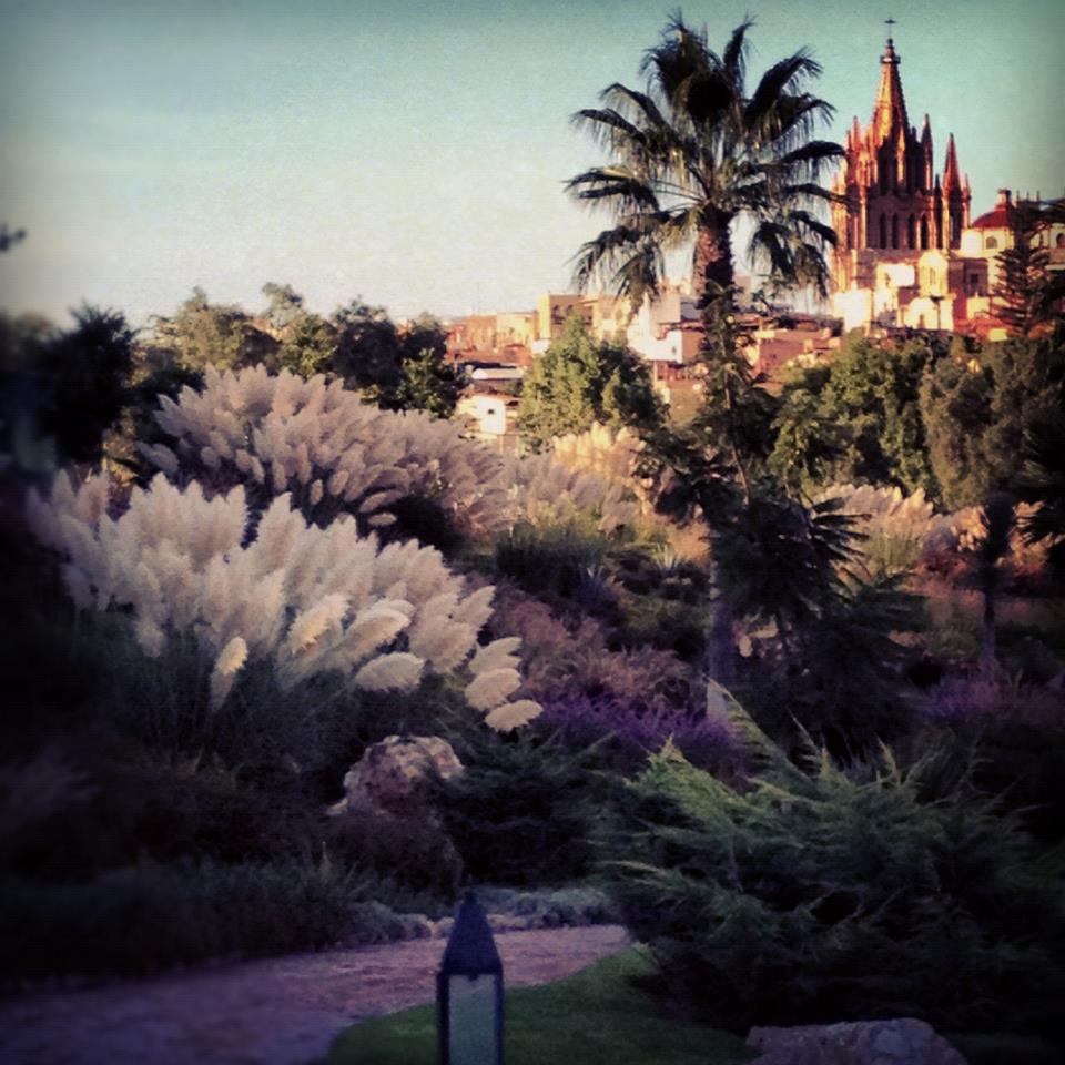 zzzz450474238_8071077229617066_186992795477913341_n