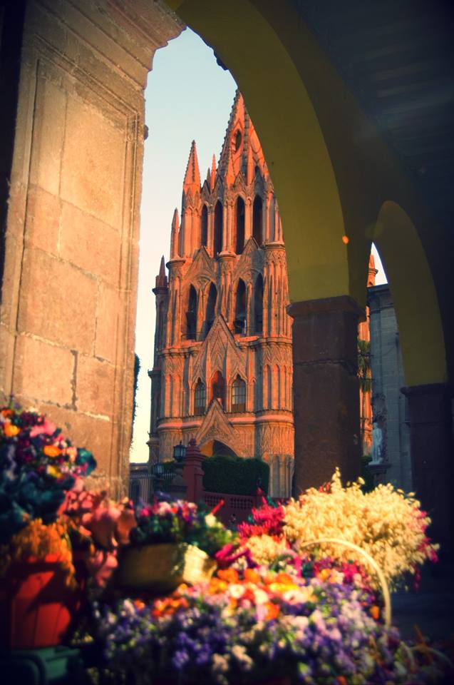 zzzz451082481_8104515212939934_2453294033494656817_n