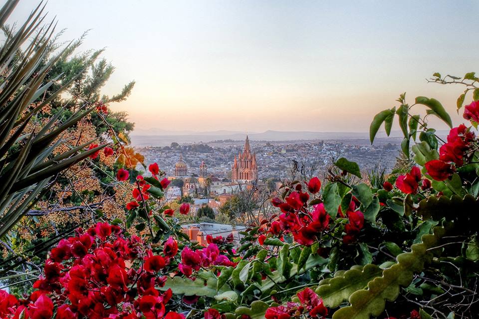 zzzz451575787_8115573795167409_1298280338139358846_n