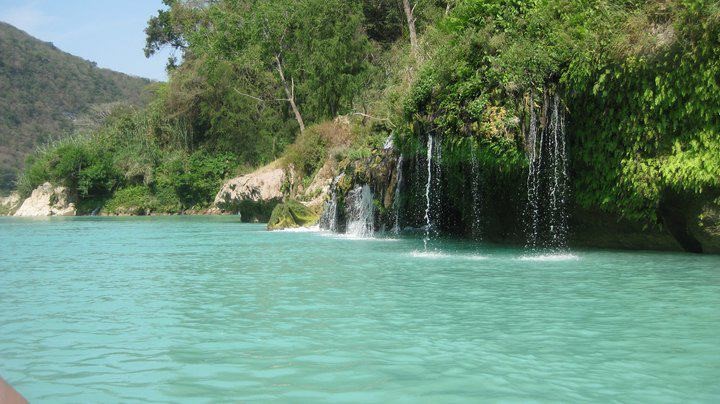 zzzz453603157_8207197819338339_8052791263724333019_n