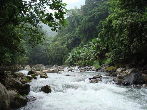 zzzz454280858_8229949667063154_146677804131808635_n