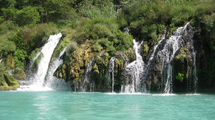 zzzz454293025_8231182110273243_769603616907031229_n