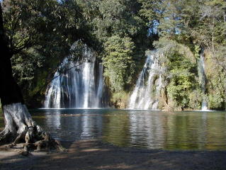 zzzz455212818_8278156122242508_8582750264003581_n