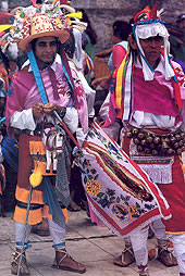 zzzz455599944_8290341937690593_9134252485171402512_n