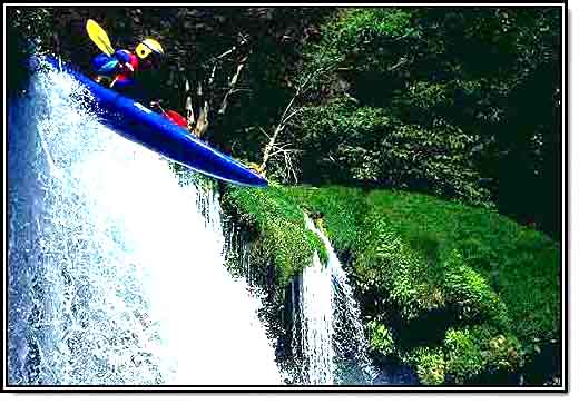 zzzz456000785_8307139446010842_759847319743018299_n