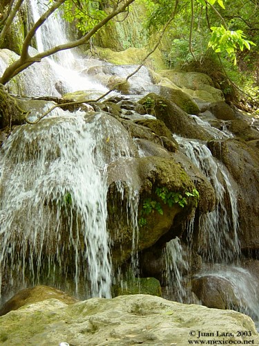 zzzz456257250_8319664564758330_2271074934721583213_n