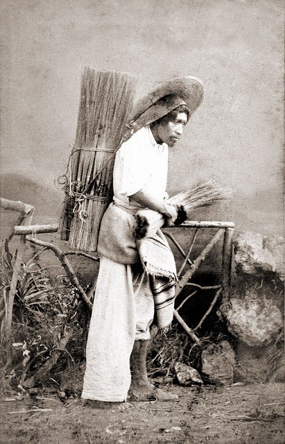 zzzz461051760_8553761521348632_2254769753100567414_n