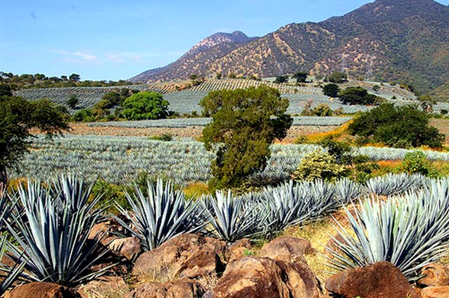 zzzz461892636_8630249557033161_509519915149377425_n