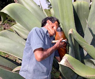 zzzz461972696_8637738102950973_2371776645173383987_n