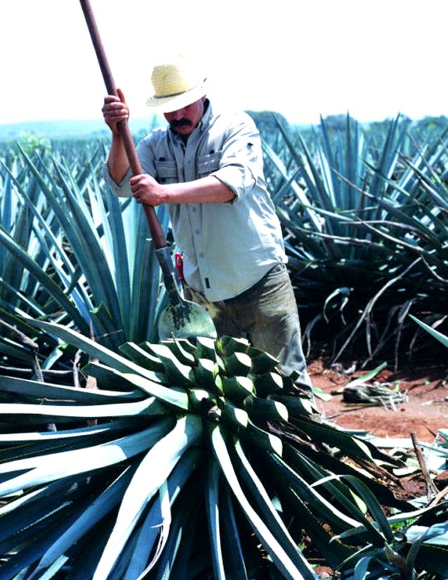 zzzz461999528_8639222122802571_5308523112215612122_n