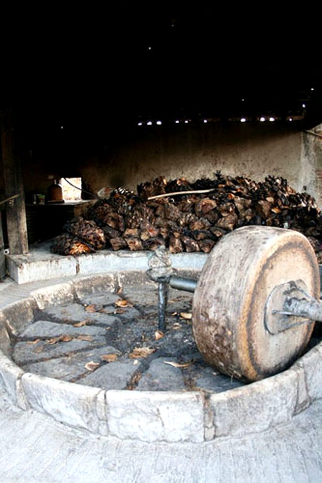 zzzz462471198_8696629050395211_1748089649187227632_n