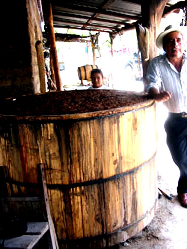 zzzz462510524_8703663656358417_8081490980255546095_n