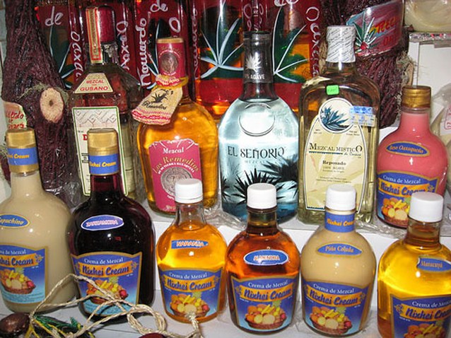 zzzz465061190_8833611843363597_400299409922457001_n