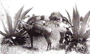 zzzz465182279_8846013415456773_5701317263500954806_n