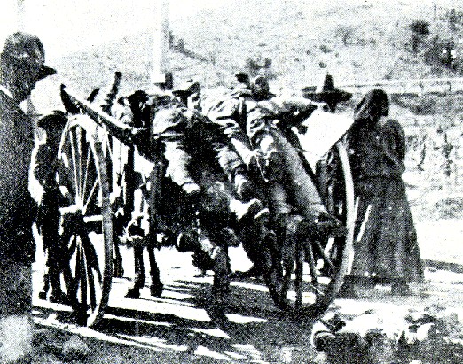 zzzz467167098_8952935444764569_5578345335762110257_n