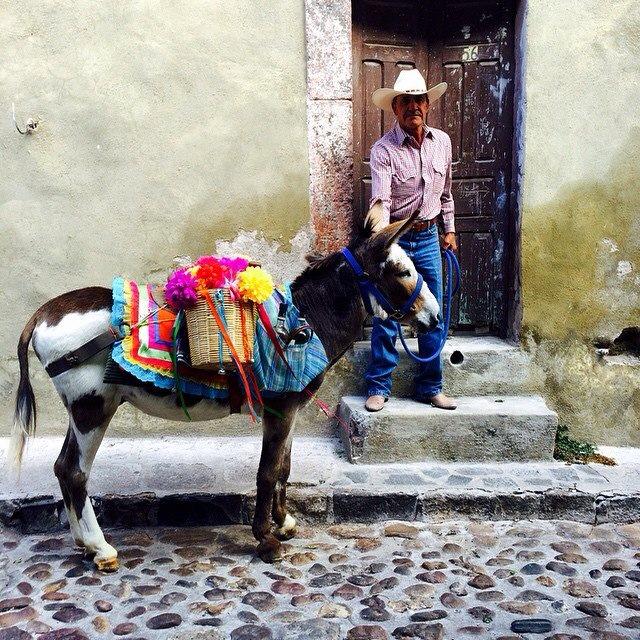 zzzz472789556_9273669269357850_4342858528169480727_n