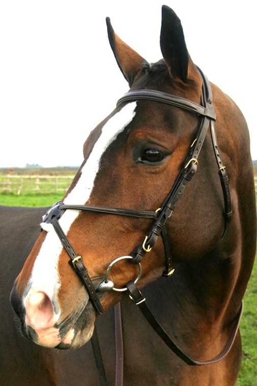 zzzz475389840_9371039706287472_241679939745702709_n