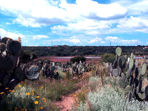 zzzz475513117_9465059466885495_6436580757889475327_n