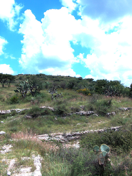 zzzz480363406_9484842858240489_116938768667683203_n